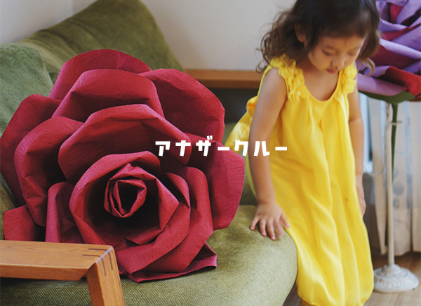 アナザークルー